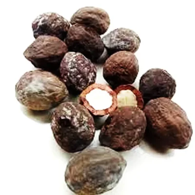 candlenut-premium-proses77