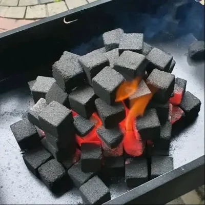 charcoal candlenut