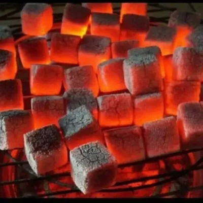 charcoal candlenut