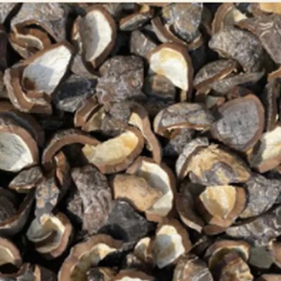 charcoal-candlenut-proses92