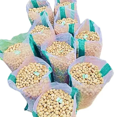 candlenut
